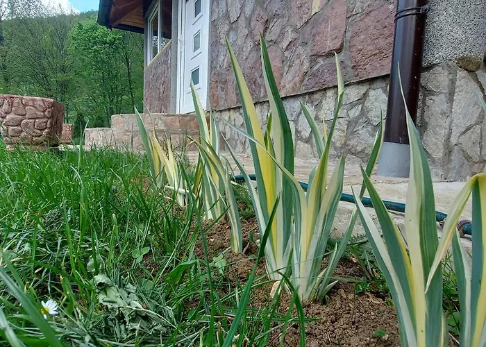 Σπίτι διακοπών Ranc Sunshine *